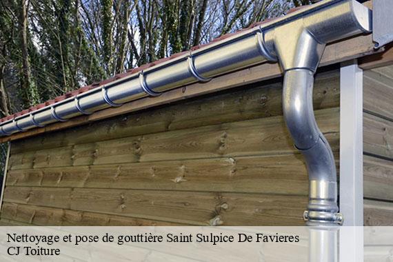 Nettoyage et pose de gouttière saint-sulpice-de-favieres-91910 CJ Toiture