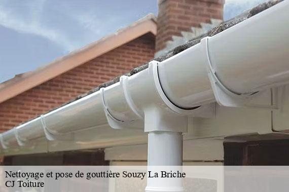 Nettoyage et pose de gouttière souzy-la-briche-91580 CJ Toiture