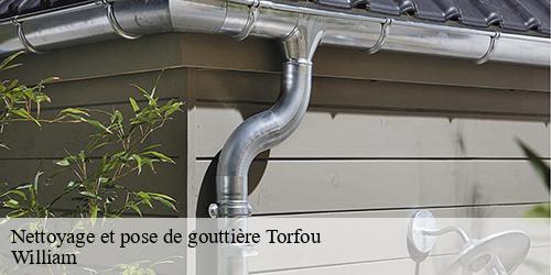 Nettoyage et pose de gouttière  torfou-91730 William