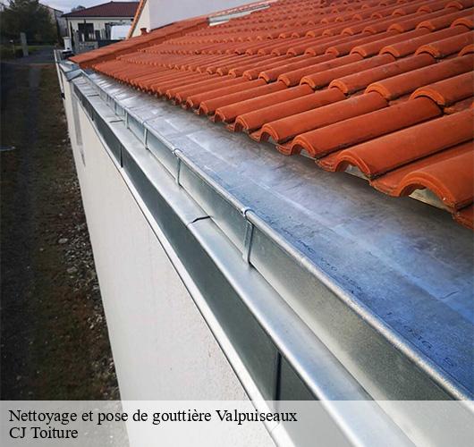 Nettoyage et pose de gouttière  valpuiseaux-91720 CJ Toiture 