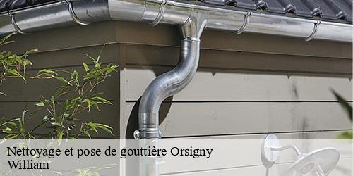 Nettoyage et pose de gouttière  orsigny-91400 William