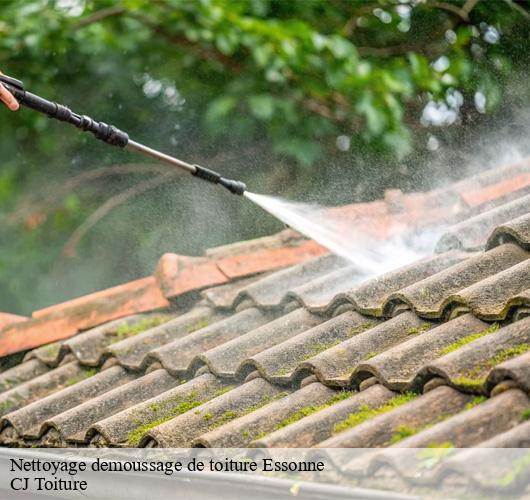 Nettoyage demoussage de toiture 91 Essonne  CJ Toiture 