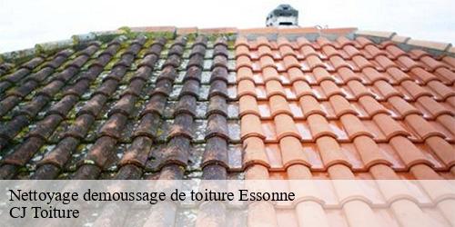 Nettoyage demoussage de toiture 91 Essonne  CJ Toiture 