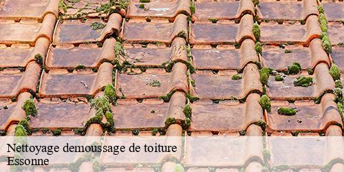 Nettoyage demoussage de toiture 91 Essonne  William