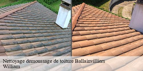 Nettoyage demoussage de toiture  ballainvilliers-91160 William
