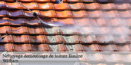 Nettoyage demoussage de toiture  baulne-91590 William
