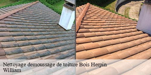 Nettoyage demoussage de toiture  bois-herpin-91150 William