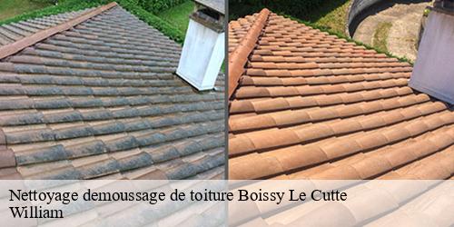 Nettoyage demoussage de toiture  boissy-le-cutte-91590 William
