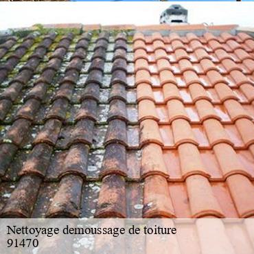 Nettoyage demoussage de toiture  boullay-les-troux-91470 William
