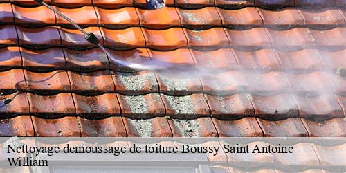 Nettoyage demoussage de toiture  boussy-saint-antoine-91800 William