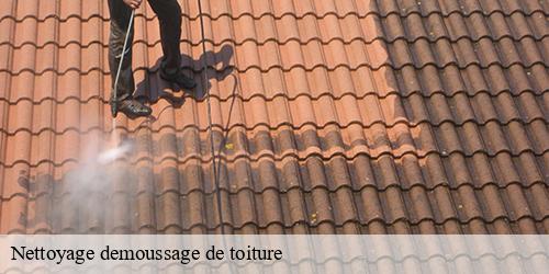 Nettoyage demoussage de toiture  boutigny-sur-essonne-91820 William
