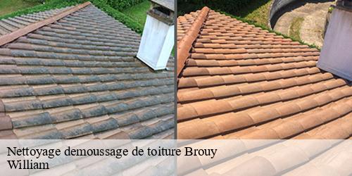 Nettoyage demoussage de toiture  brouy-91150 William
