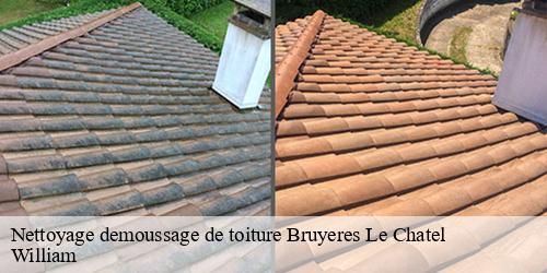Nettoyage demoussage de toiture  bruyeres-le-chatel-91680 William
