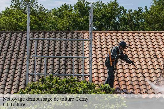 Nettoyage demoussage de toiture  cerny-91590 CJ Toiture 