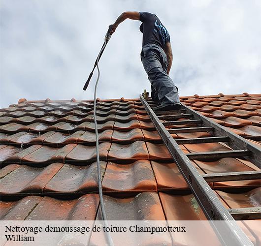 Nettoyage demoussage de toiture  champmotteux-91150 William