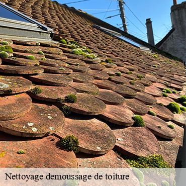 Nettoyage demoussage de toiture  champmotteux-91150 William
