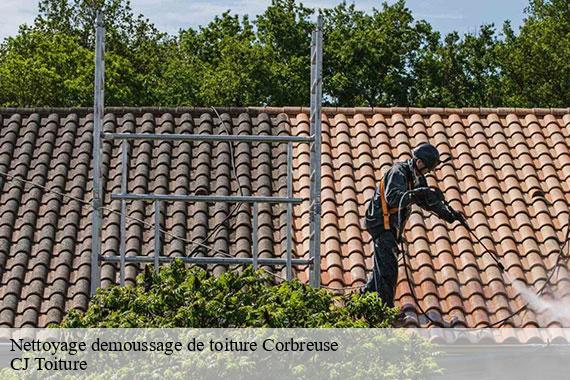 Nettoyage demoussage de toiture  corbreuse-91410 CJ Toiture 
