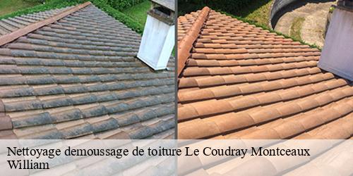 Nettoyage demoussage de toiture  le-coudray-montceaux-91830 William