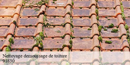 Nettoyage demoussage de toiture  le-coudray-montceaux-91830 William