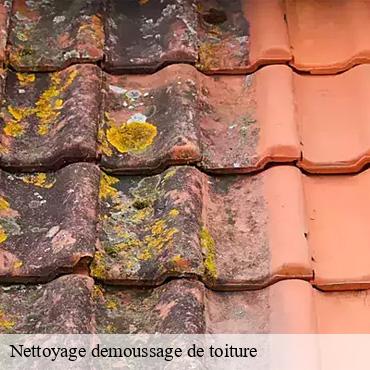 Nettoyage demoussage de toiture  echarcon-91540 CJ Toiture 
