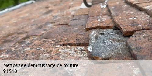 Nettoyage demoussage de toiture  echarcon-91540 CJ Toiture 