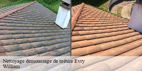 Nettoyage demoussage de toiture  evry-91000 William