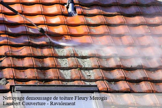 Nettoyage demoussage de toiture  fleury-merogis-91700 Lambert Couverture - Ravalement