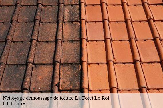 Nettoyage demoussage de toiture la-foret-le-roi-91410 CJ Toiture