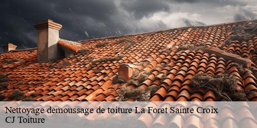 Nettoyage demoussage de toiture  la-foret-sainte-croix-91150 CJ Toiture 