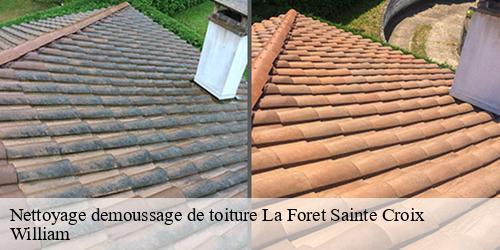 Nettoyage demoussage de toiture  la-foret-sainte-croix-91150 William