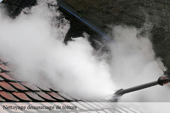 Nettoyage demoussage de toiture  gironville-sur-essonne-91720 CJ Toiture 