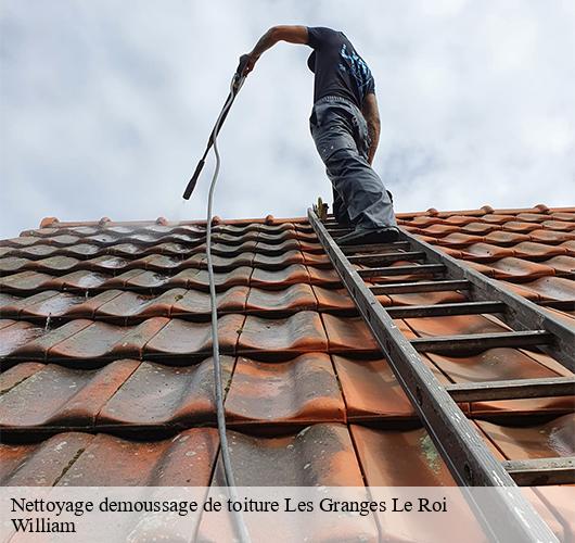 Nettoyage demoussage de toiture  les-granges-le-roi-91410 William
