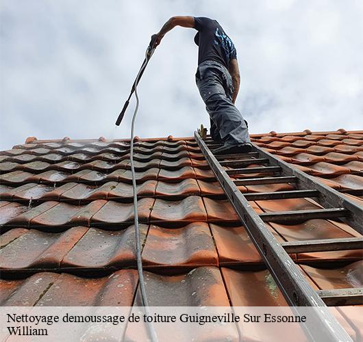 Nettoyage demoussage de toiture  guigneville-sur-essonne-91590 William