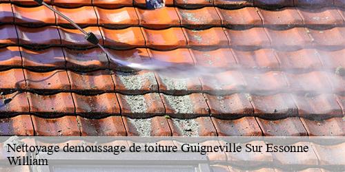 Nettoyage demoussage de toiture  guigneville-sur-essonne-91590 William