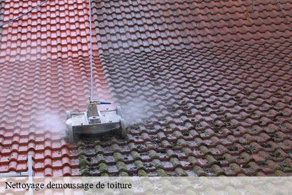 Nettoyage demoussage de toiture itteville-91760 CJ Toiture