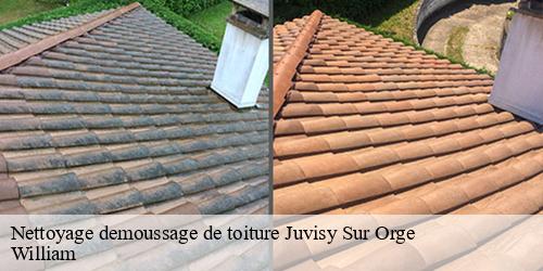 Nettoyage demoussage de toiture  juvisy-sur-orge-91260 William