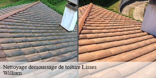 Nettoyage demoussage de toiture  lisses-91090 William