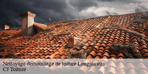 Nettoyage demoussage de toiture  longjumeau-91160 CJ Toiture 