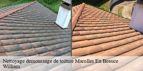 Nettoyage demoussage de toiture  marolles-en-beauce-91150 William