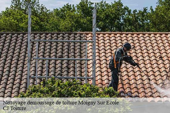 Nettoyage demoussage de toiture moigny-sur-ecole-91490 CJ Toiture
