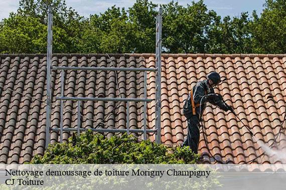 Nettoyage demoussage de toiture morigny-champigny-91150 CJ Toiture