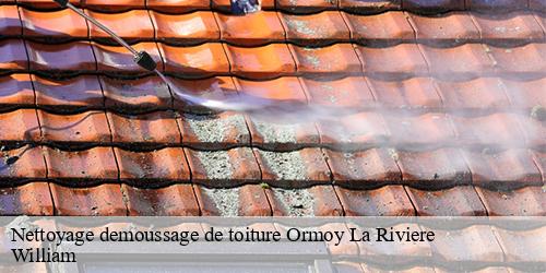 Nettoyage demoussage de toiture  ormoy-la-riviere-91150 William