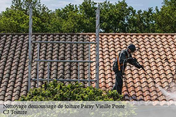 Nettoyage demoussage de toiture paray-vieille-poste-91550 CJ Toiture