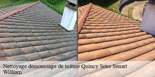 Nettoyage demoussage de toiture  quincy-sous-senart-91480 William