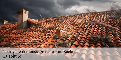 Nettoyage demoussage de toiture  saclas-91690 CJ Toiture 