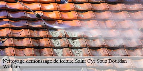 Nettoyage demoussage de toiture  saint-cyr-sous-dourdan-91410 William