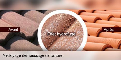 Nettoyage demoussage de toiture  sainte-escobille-91410 CJ Toiture 