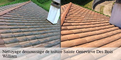 Nettoyage demoussage de toiture  sainte-genevieve-des-bois-91700 William