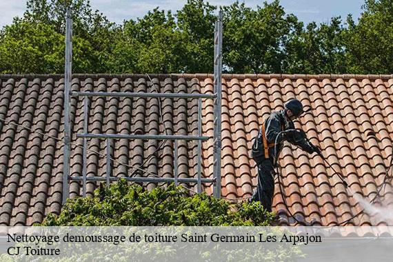 Nettoyage demoussage de toiture saint-germain-les-arpajon-91180 CJ Toiture
