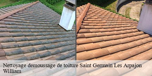 Nettoyage demoussage de toiture  saint-germain-les-arpajon-91180 William